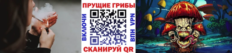 Псилоцибиновые грибы Magic Shrooms  Буинск 